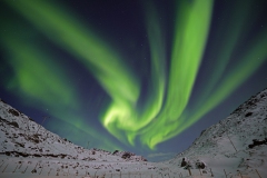 DSC9976-Kopie_bearbeitet-1