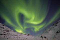 DSC9985-Kopie_bearbeitet-1