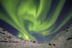 DSC9989-Kopie_bearbeitet-1